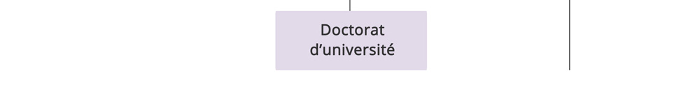 schema-des-etudes_08